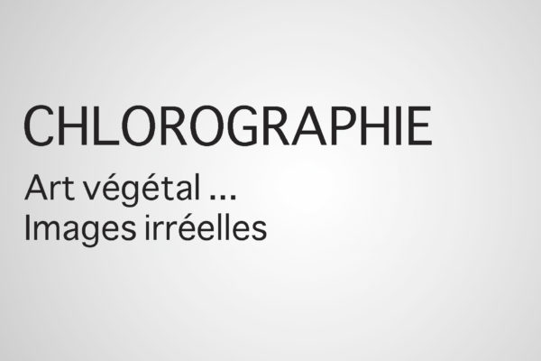 CHLOROGRAPHIE